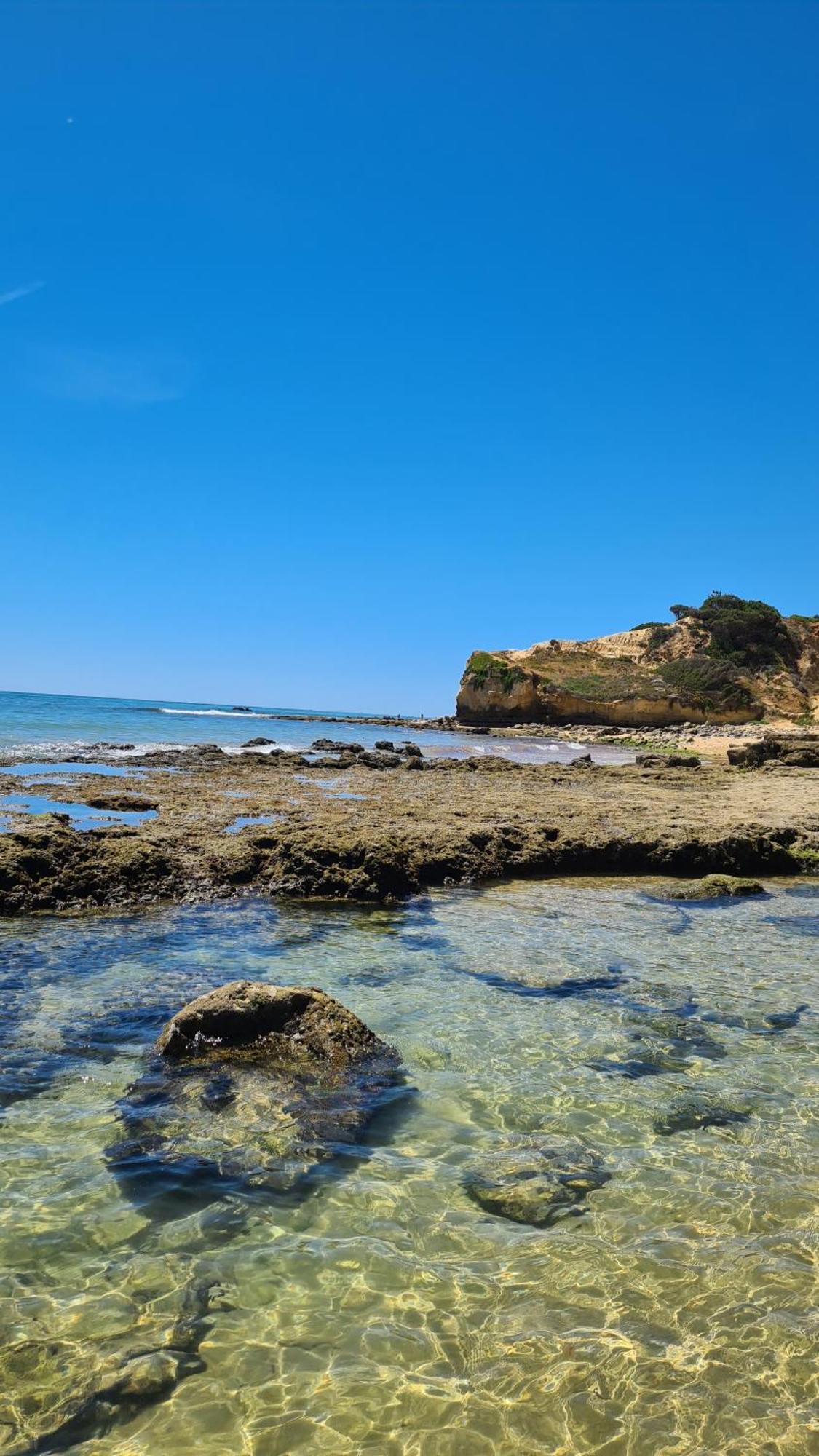 Cabrita Olhos de Agua (Albufeira)