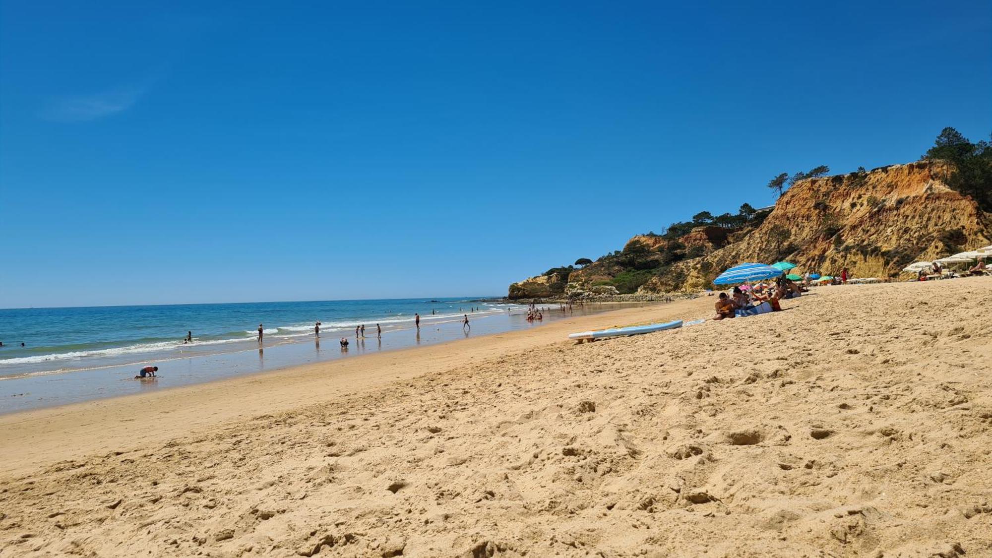 Cabrita *