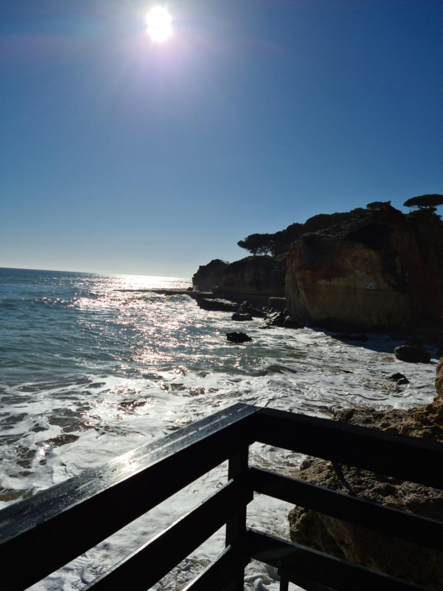 Cabrita Olhos de Agua (Albufeira)