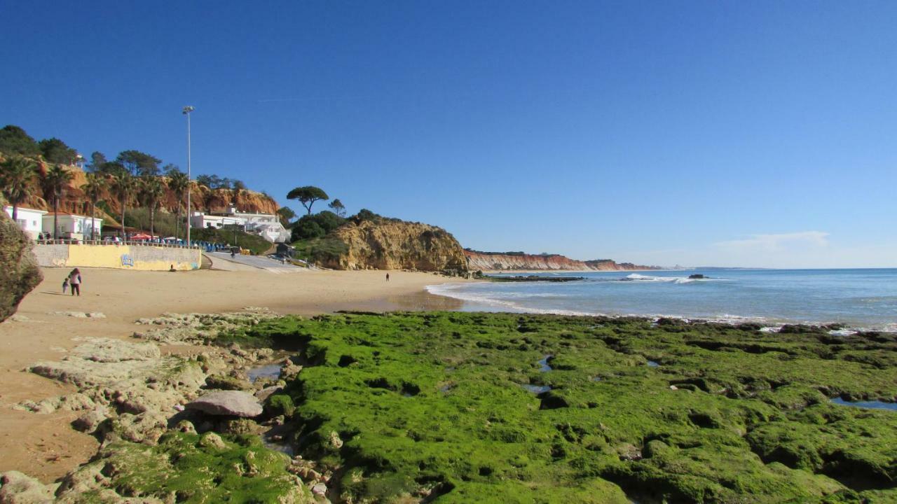 Cabrita * Olhos de Agua (Albufeira)
